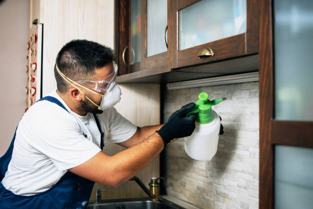 Best Emergency Pest Control  in Burlington, NC