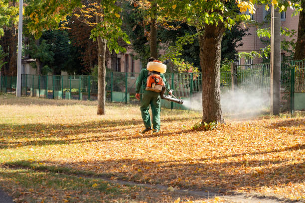 Best Bed Bug Extermination  in Burlington, NC