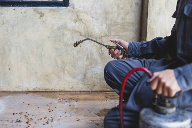 Best Affordable Pest Control Services  in Burlington, NC